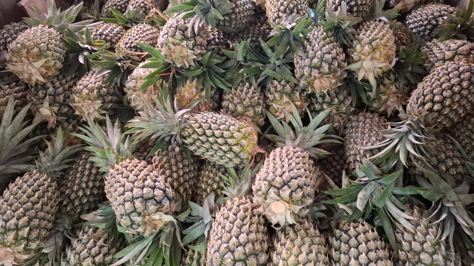 Variant Local Fruits